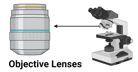 objective on a microscope|microscope objective lens explanation.